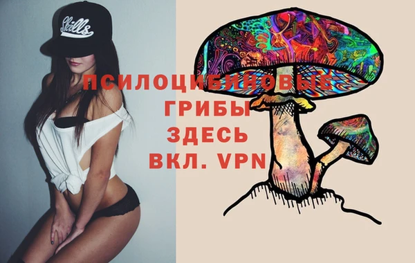 PSILOCYBIN Протвино
