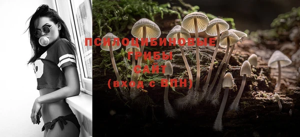 PSILOCYBIN Протвино