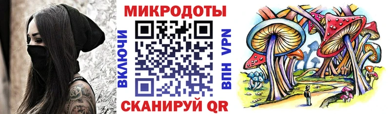 купить   Тихвин  Галлюциногенные грибы Cubensis 