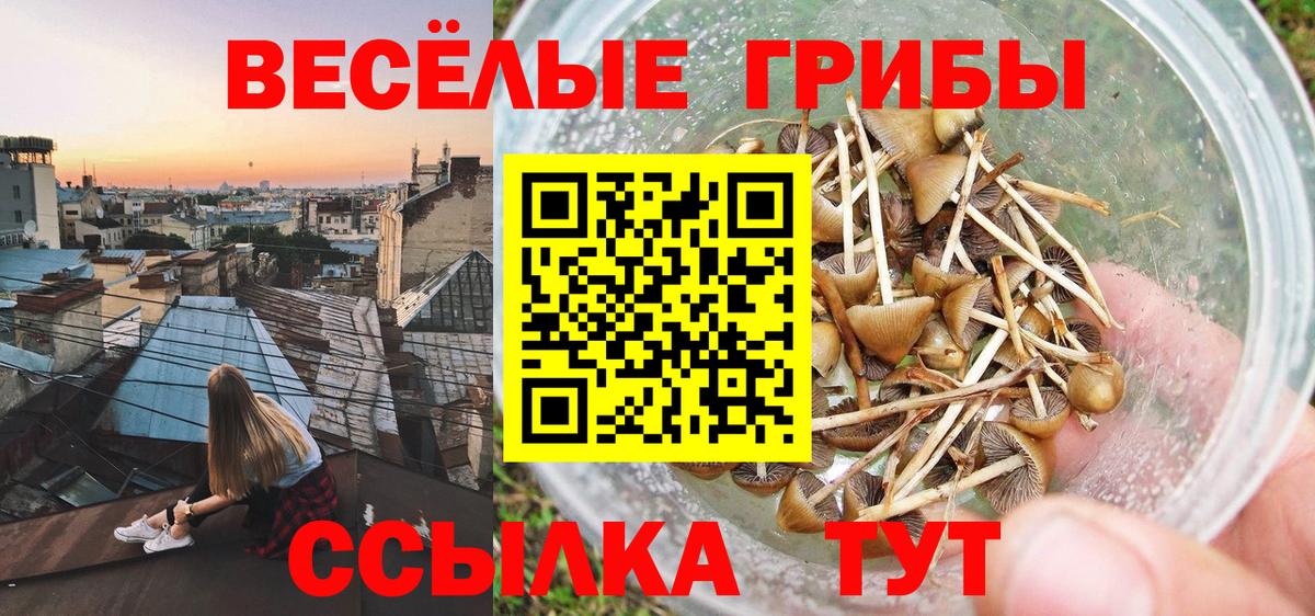 Тихвин  где купить наркотик  Вход с VPN  Псилоцибиновые грибы мицелий  Галлюциногенные грибы мицелий 