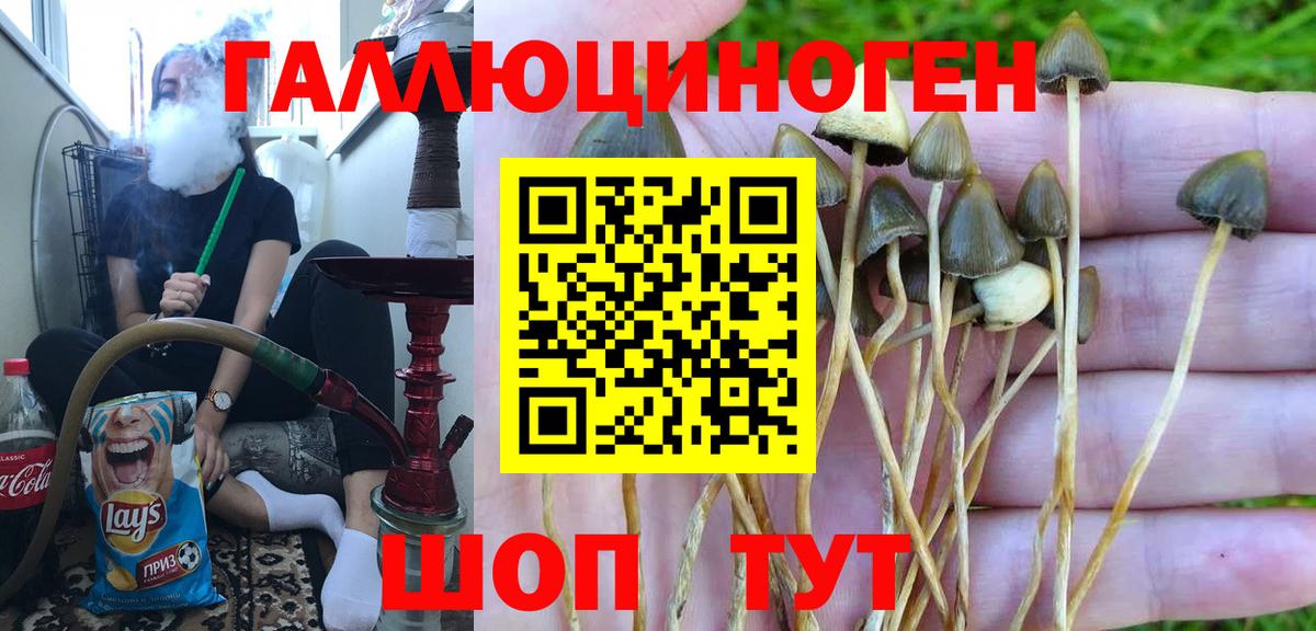 Псилоцибиновые грибы Magic Shrooms Тихвин